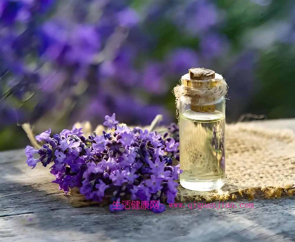 薰衣草（lavender）精油界的“瑞士军刀”-养生文化-生活健康网